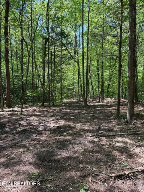 Tiny photo for 425 Smokey Rd, Rutledge, TN 37861 (MLS # 1338339)