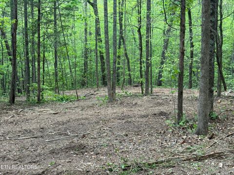 Tiny photo for 425 Smokey Rd, Rutledge, TN 37861 (MLS # 1338339)