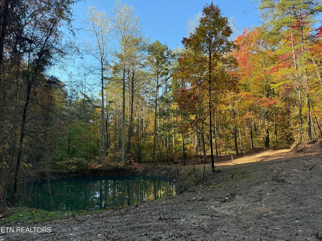 Photo of 425 Smokey Rd, Rutledge, TN 37861 (MLS # 1338339)