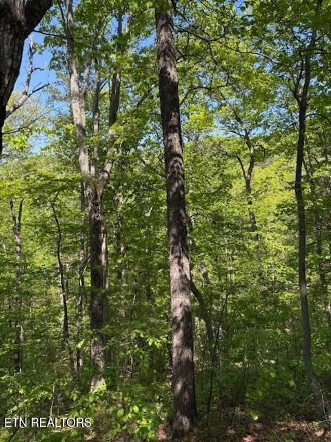 Tiny photo for 425 Smokey Rd, Rutledge, TN 37861 (MLS # 1338339)