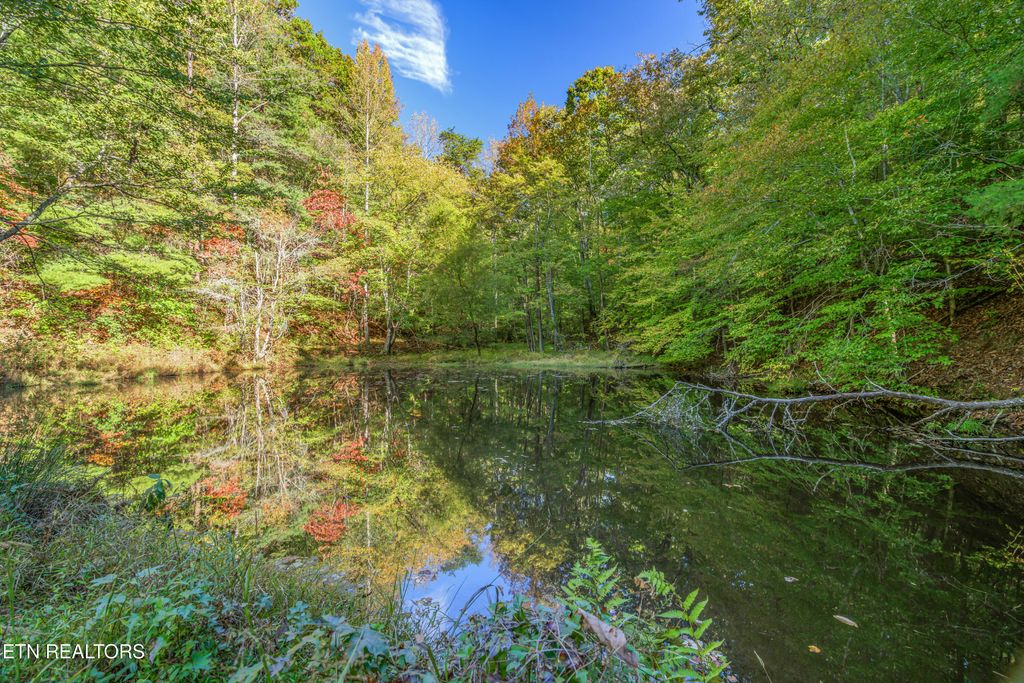 Photo of 130 Anderson Lane, Harriman, TN 37748 (MLS # 1319505)