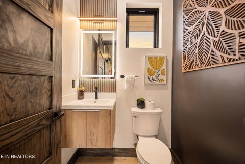 Tiny photo for 219 Chimney Tops Way, Gatlinburg, TN 37738 (MLS # 1327798)