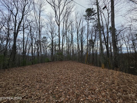 Photo of 4 Deer Ridge Lane, Sevierville, TN 37876 (MLS # 1346289)