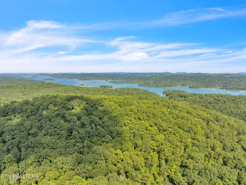 Tiny photo for 328 Ridge Circle Road Rd, Andersonville, TN 37705 (MLS # 1336042)