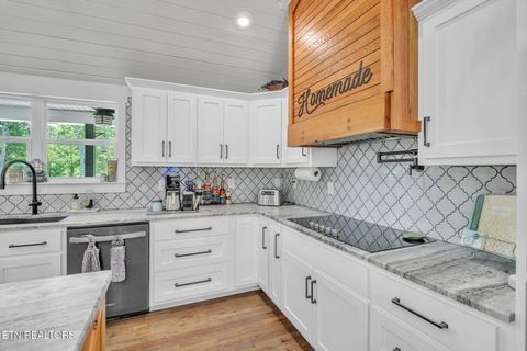 Tiny photo for 328 Ridge Circle Road Rd, Andersonville, TN 37705 (MLS # 1336042)