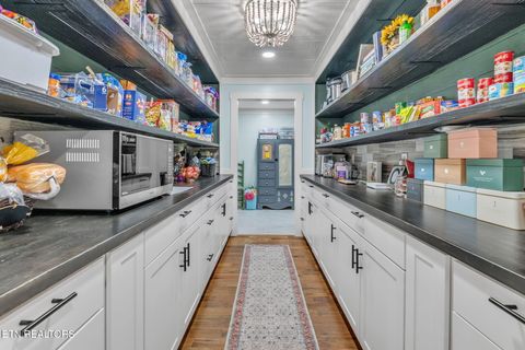 Tiny photo for 328 Ridge Circle Road Rd, Andersonville, TN 37705 (MLS # 1336042)