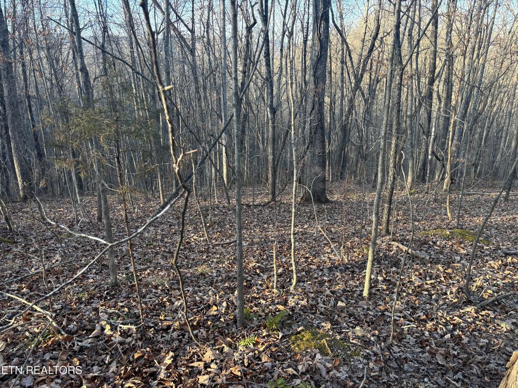 Photo of Kay Drive, LaFollette, TN 37766 (MLS # 1325487)