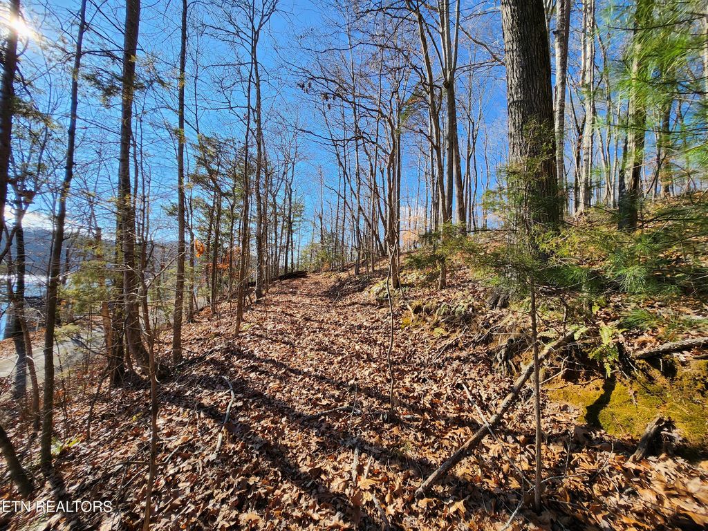 Photo of Cove Pointe Rd, LaFollette, TN 37766 (MLS # 1305790)