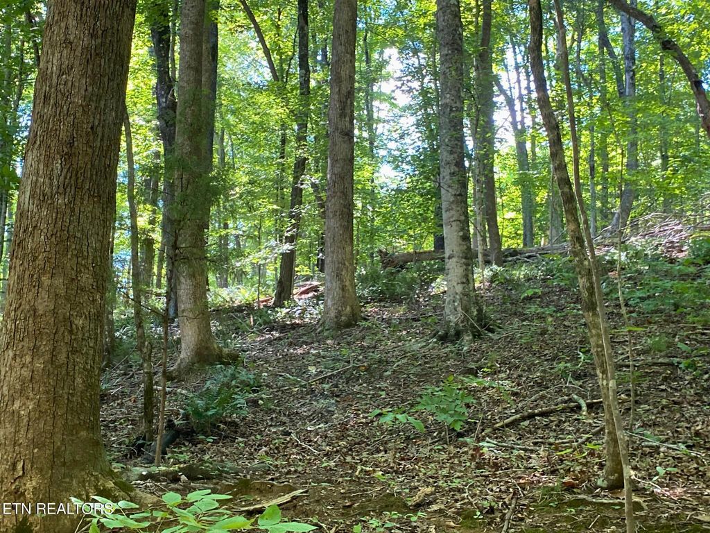 Photo of Cove Point Rd, LaFollette, TN 37766 (MLS # 1305790)