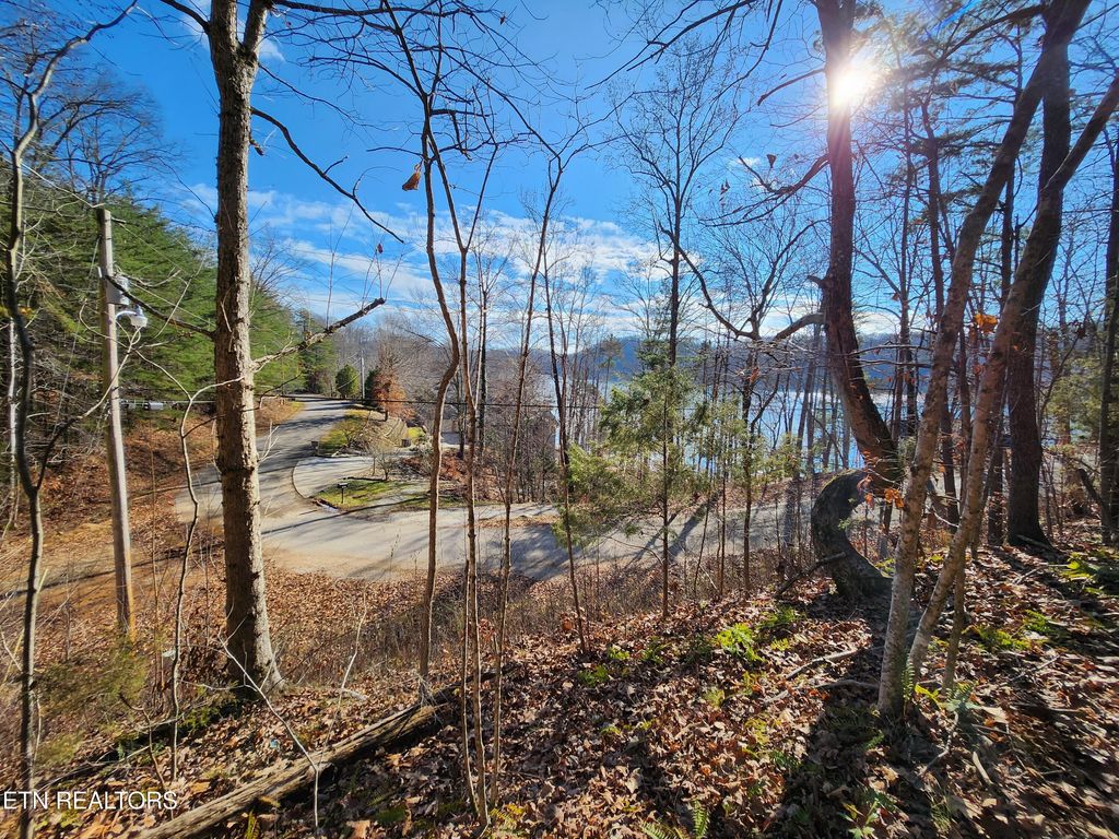 Photo of Cove Pointe Rd, LaFollette, TN 37766 (MLS # 1305790)