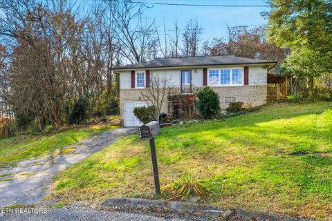 Photo of 124 Crest Lane, Clinton, TN 37716 (MLS # 1322784)