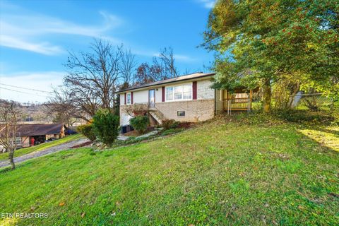 Photo of 124 Crest Lane, Clinton, TN 37716 (MLS # 1322784)