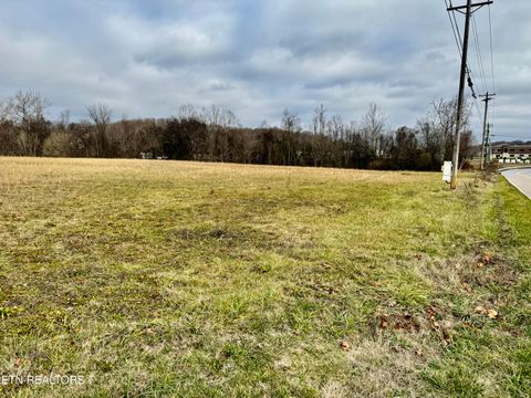 Tiny photo for 375 S White Pine Rd, White Pine, TN 37890 (MLS # 1327975)