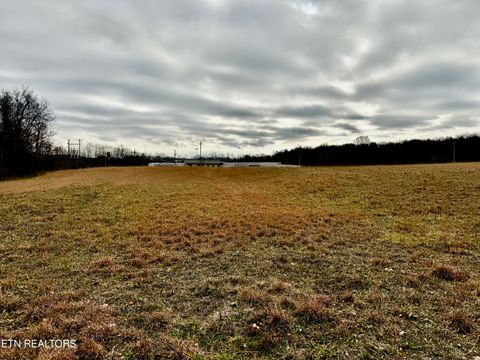 Tiny photo for 375 S White Pine Rd, White Pine, TN 37890 (MLS # 1327975)