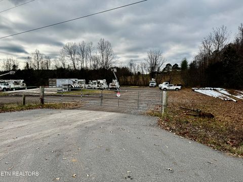 Tiny photo for 375 S White Pine Rd, White Pine, TN 37890 (MLS # 1327975)