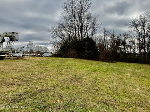 Tiny photo for 375 S White Pine Rd, White Pine, TN 37890 (MLS # 1327975)
