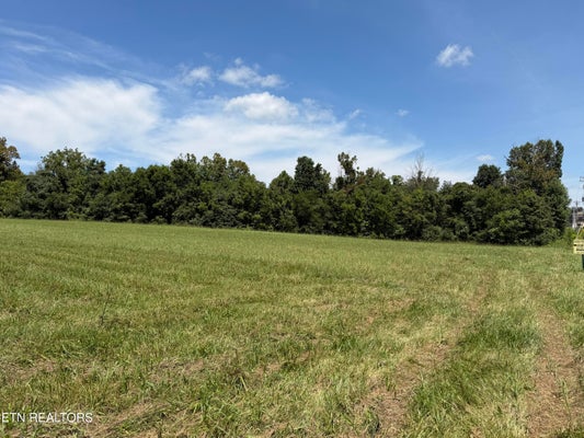 375 S WHITE PINE RD, WHITE PINE, TN 37890 - Image 0ff2ff4310a75f5fcae85a2aba821422/4067555630