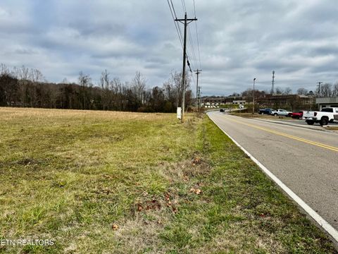 Tiny photo for 375 S White Pine Rd, White Pine, TN 37890 (MLS # 1327975)