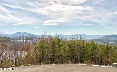 Featured picture for the property 1242461