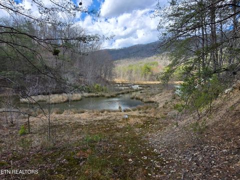 Steve Brown Rd Bean Station TN 37708
