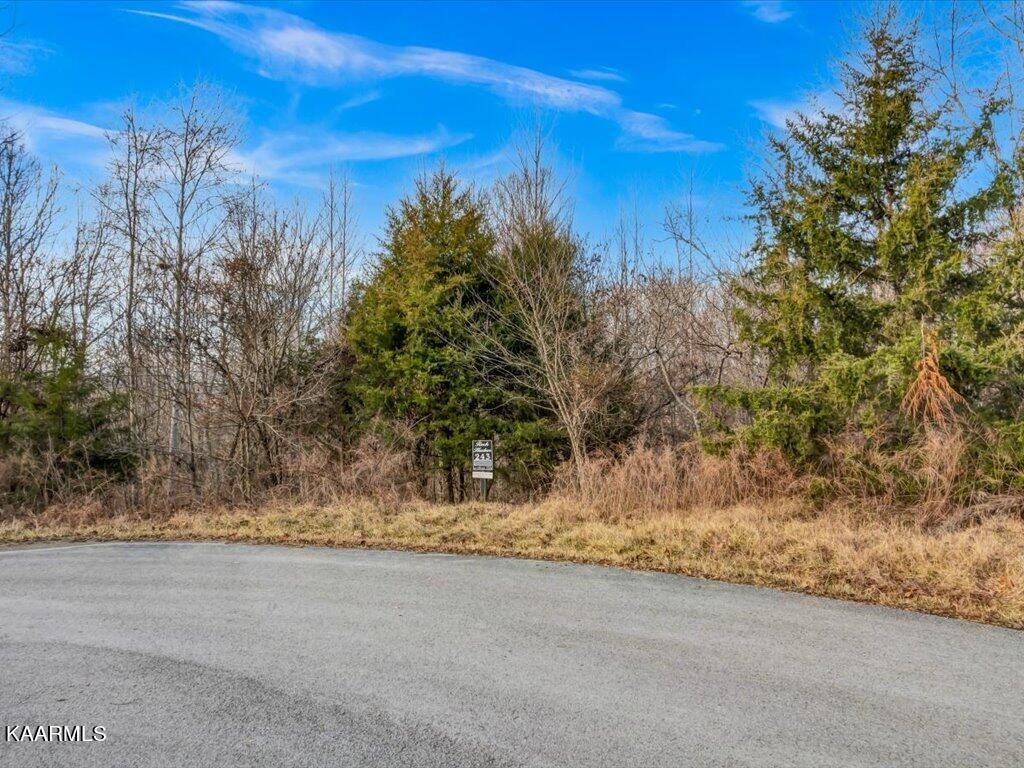 Photo of 243 Tanzanite Tr, New Tazewell, TN 37825 (MLS # 1218059)