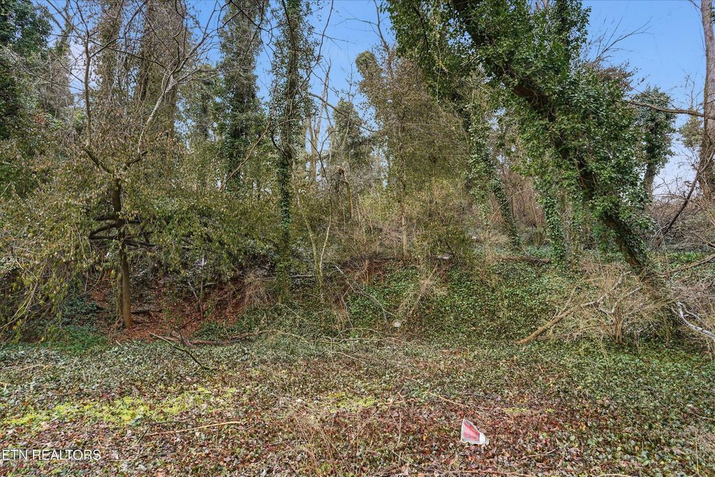 Photo of 0 Irene Ave, Knoxville, TN 37920 (MLS # 1328722)