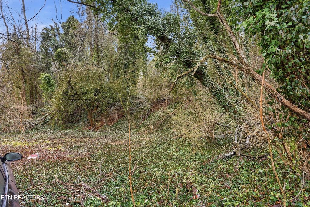 Photo of 0 Irene Ave, Knoxville, TN 37920 (MLS # 1328722)