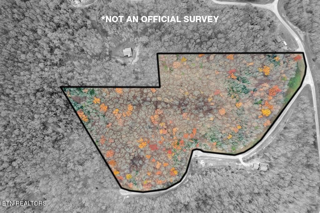 Photo of 0 Homestead Lane, Crawford, TN 38554 (MLS # 1333800)