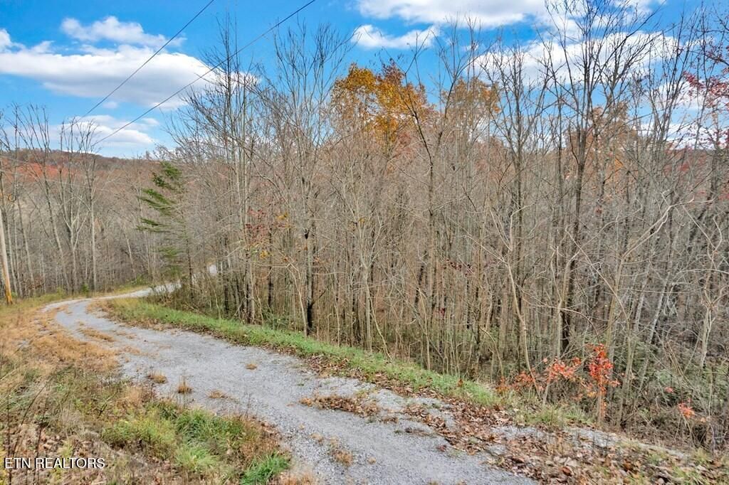Photo of 0 Homestead Lane, Crawford, TN 38554 (MLS # 1333800)