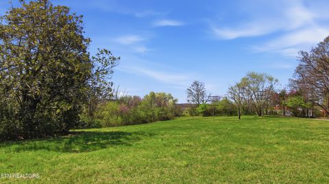 Tiny photo for 526 S Carter School Rd, Strawberry Plains, TN 37871 (MLS # 1333803)