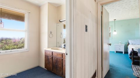 Tiny photo for 526 S Carter School Rd, Strawberry Plains, TN 37871 (MLS # 1333803)