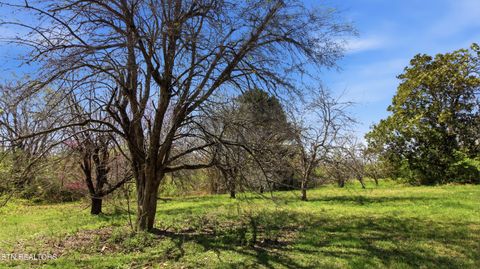 Tiny photo for 526 S Carter School Rd, Strawberry Plains, TN 37871 (MLS # 1333803)