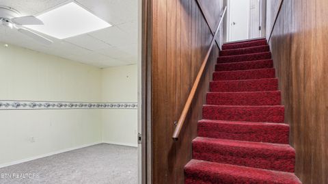 Tiny photo for 526 S Carter School Rd, Strawberry Plains, TN 37871 (MLS # 1333803)