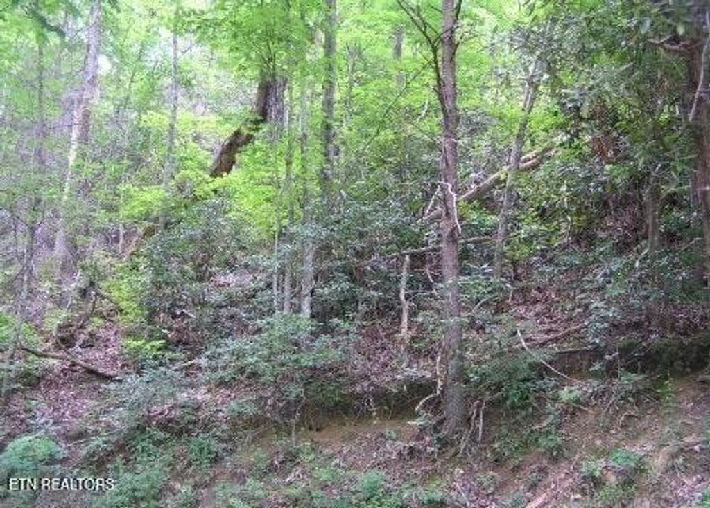 Photo of 329 Silverbell Lane, Gatlinburg, TN 37738 (MLS # 1308706)