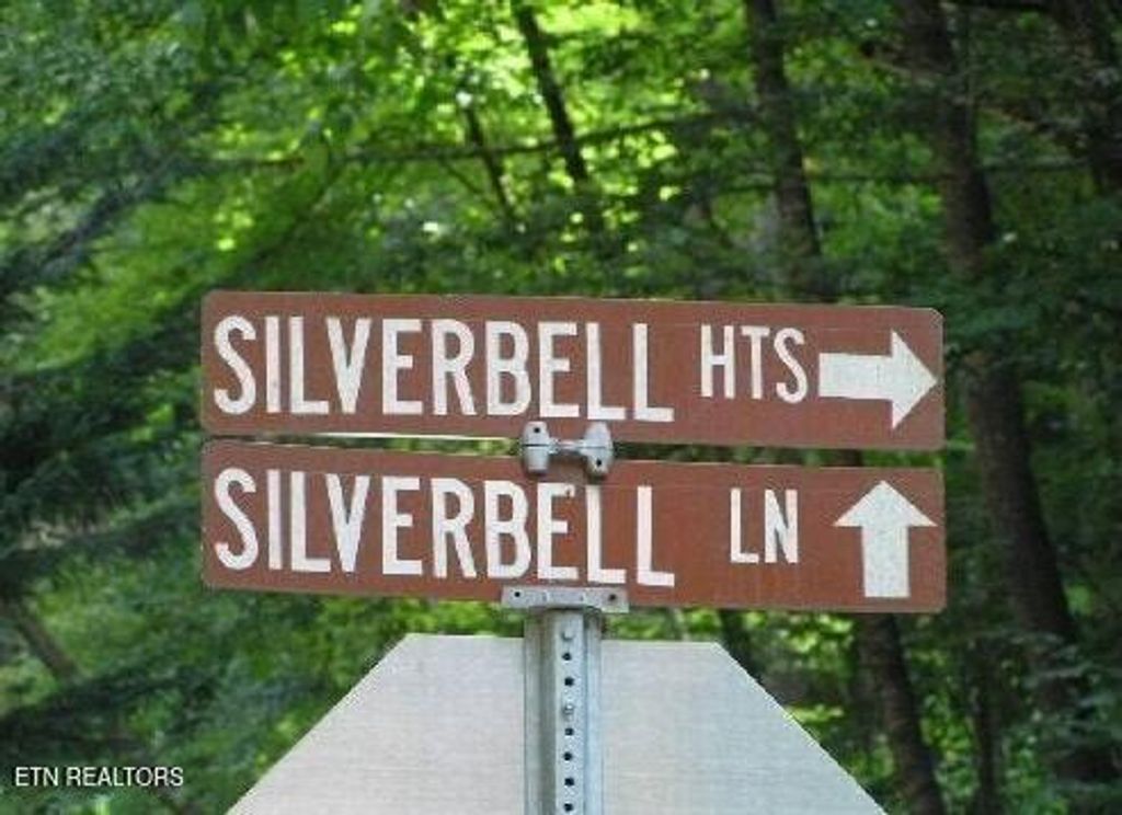 Photo of 329 Silverbell Lane, Gatlinburg, TN 37738 (MLS # 1308706)