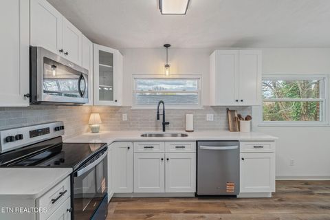 Tiny photo for 107 Harrison Lane, Seymour, TN 37865 (MLS # 1334762)