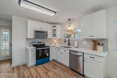 Tiny photo for 107 Harrison Lane, Seymour, TN 37865 (MLS # 1334762)