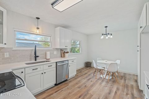 Tiny photo for 107 Harrison Lane, Seymour, TN 37865 (MLS # 1334762)