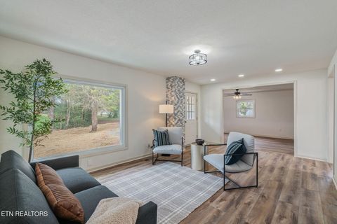 Tiny photo for 107 Harrison Lane, Seymour, TN 37865 (MLS # 1334762)