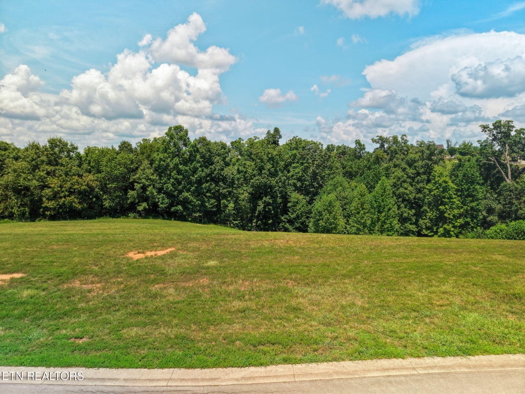 Photo of 694 Taffrail Drive, Lenoir City, TN 37772 (MLS # 1349367)