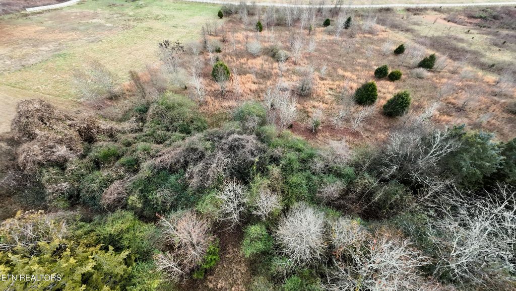 Photo of 107 Roaming Fawn Drive, Rockwood, TN 37854 (MLS # 1323364)