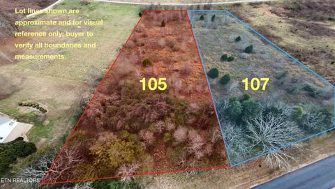 Photo of 107 Roaming Fawn Drive, Rockwood, TN 37854 (MLS # 1323364)