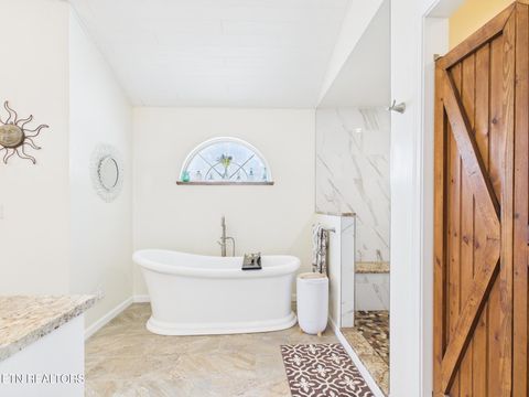 Tiny photo for 1347 Bowman Bend Rd, Harriman, TN 37748 (MLS # 1338349)