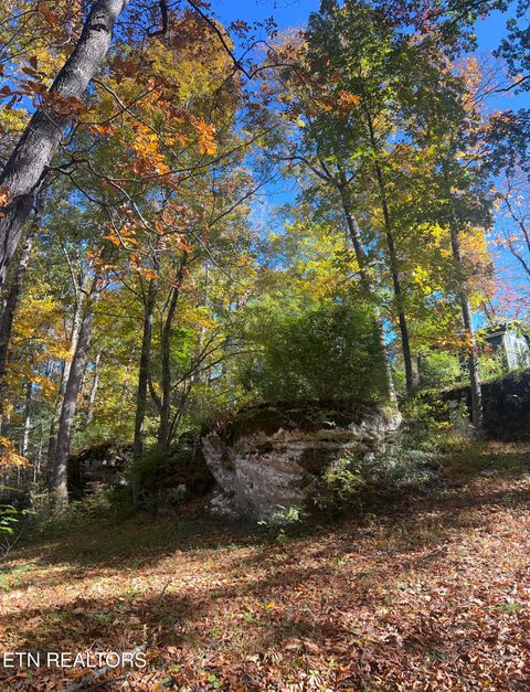 Tiny photo for 614 W Creston Rd, Crossville, TN 38571 (MLS # 1319438)