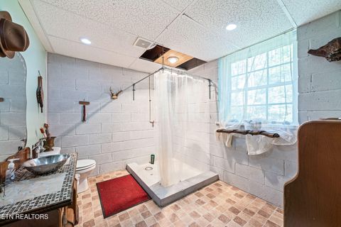 Tiny photo for 614 W Creston Rd, Crossville, TN 38571 (MLS # 1319438)