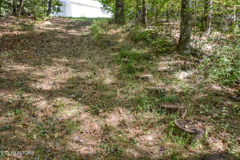 Tiny photo for 614 W Creston Rd, Crossville, TN 38571 (MLS # 1319438)