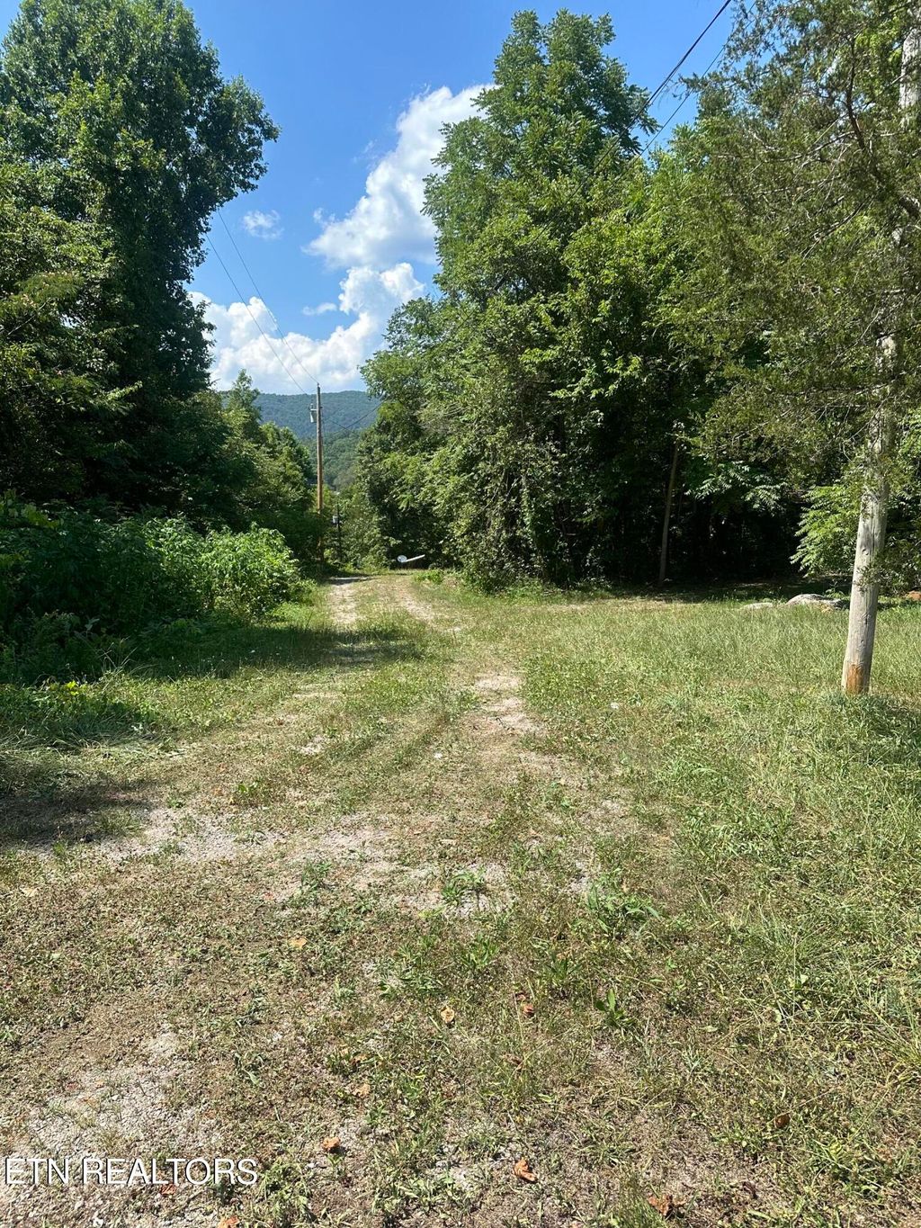 Photo of 233 Dunville Gap Rd, Rutledge, TN 37861 (MLS # 1270133)