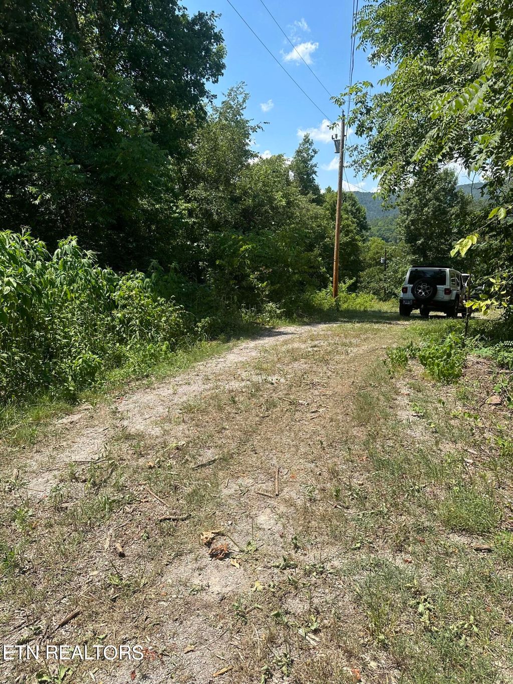 Photo of 233 Dunville Gap Rd, Rutledge, TN 37861 (MLS # 1270133)