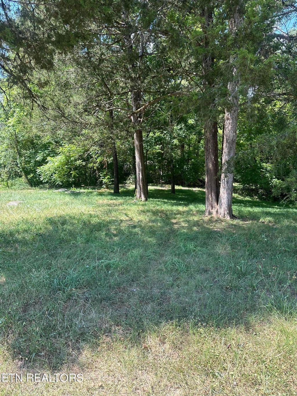 Photo of 233 Dunville Gap Rd, Rutledge, TN 37861 (MLS # 1270133)