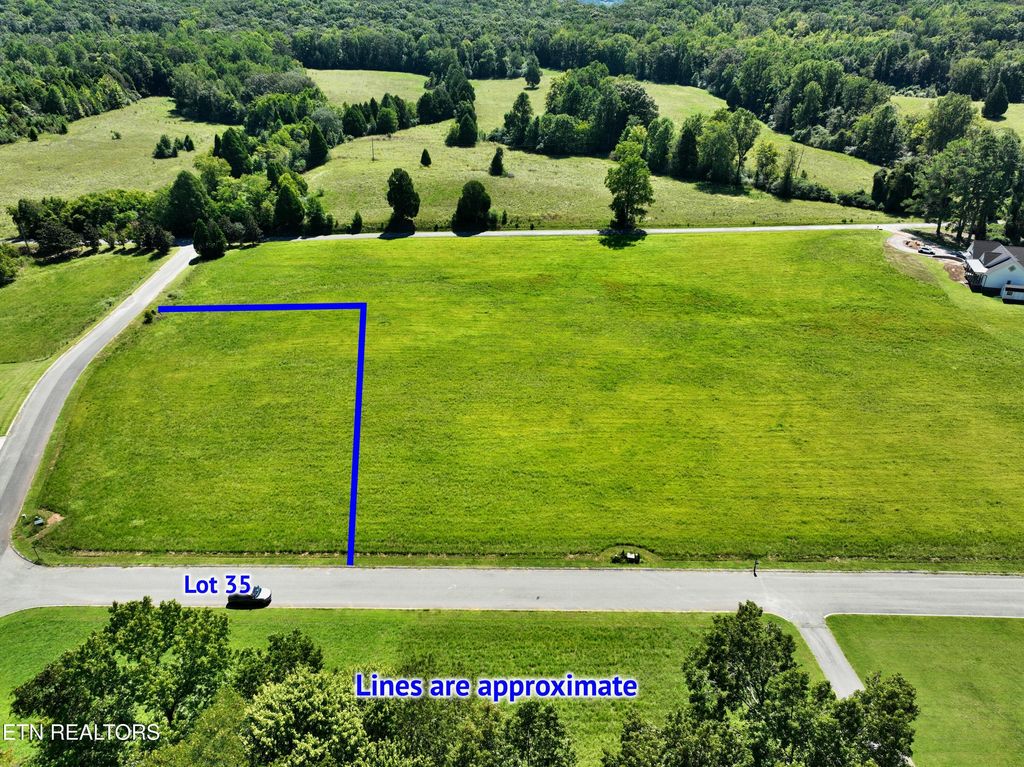Photo of 35 Spring Cove Lane, Spring City, TN 37381 (MLS # 1313861)